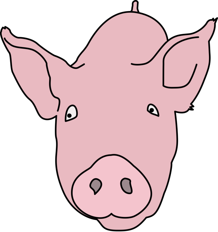 Pink,Head,Livestock