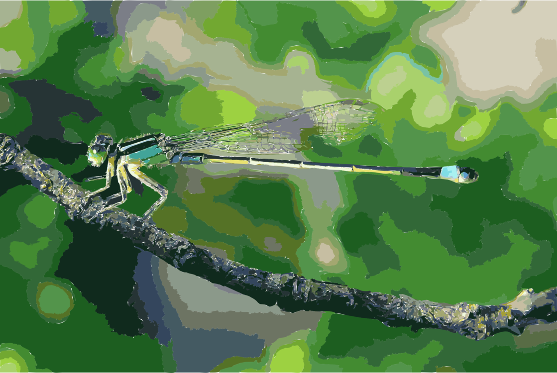 Dragonfly,Plant,Tree