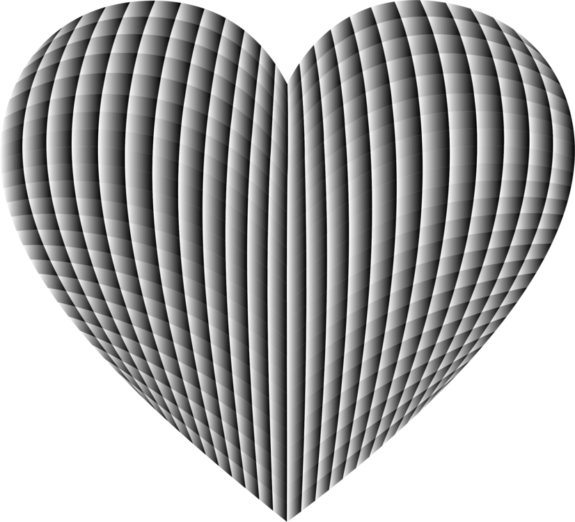 Heart,Organ,Symmetry