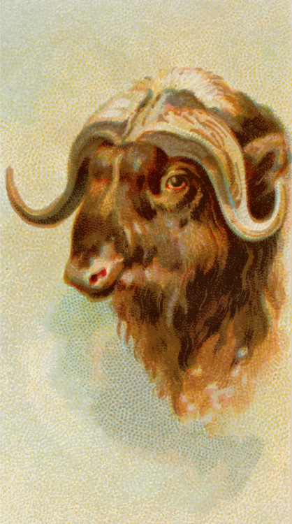 Mythology,Art,Bull