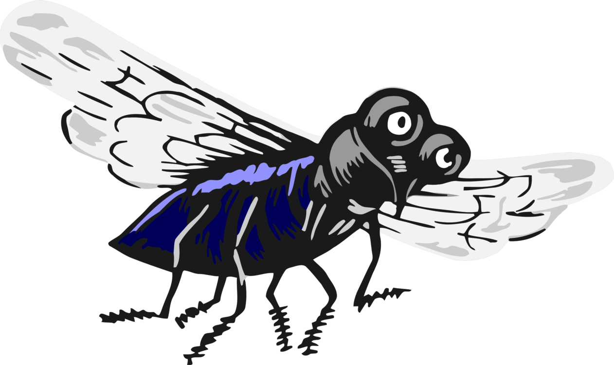 Fly,Carpenter Bee,Cartoon