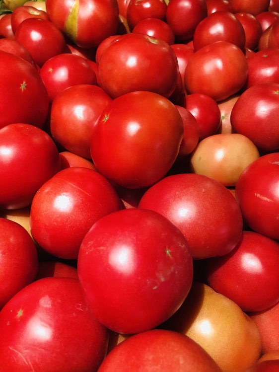 Tomato,Solanum,Vegetarian Food
