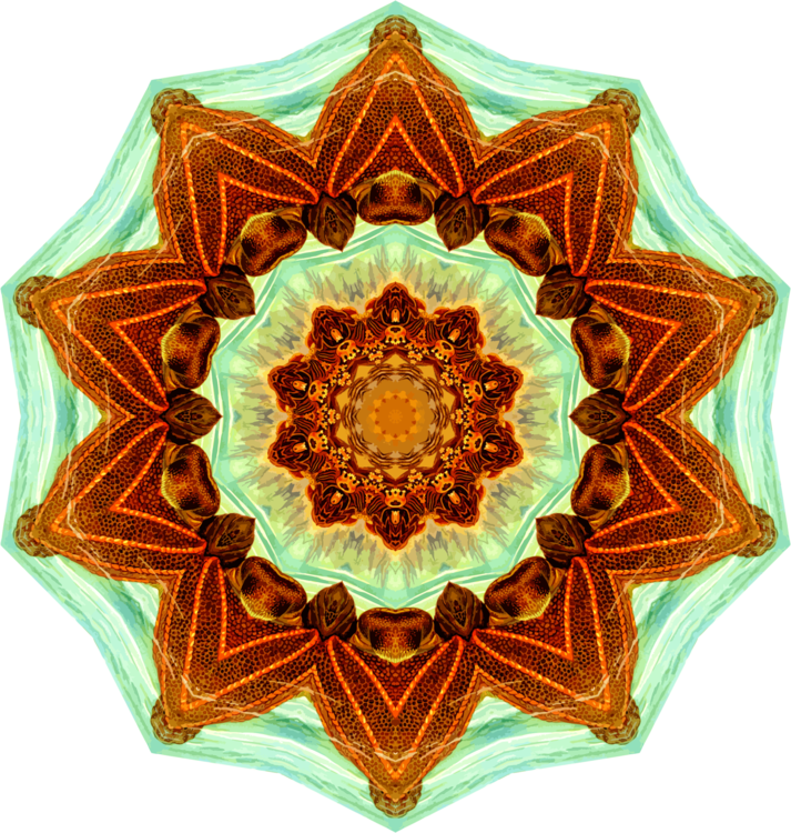 Turquoise,Symmetry,Kaleidoscope