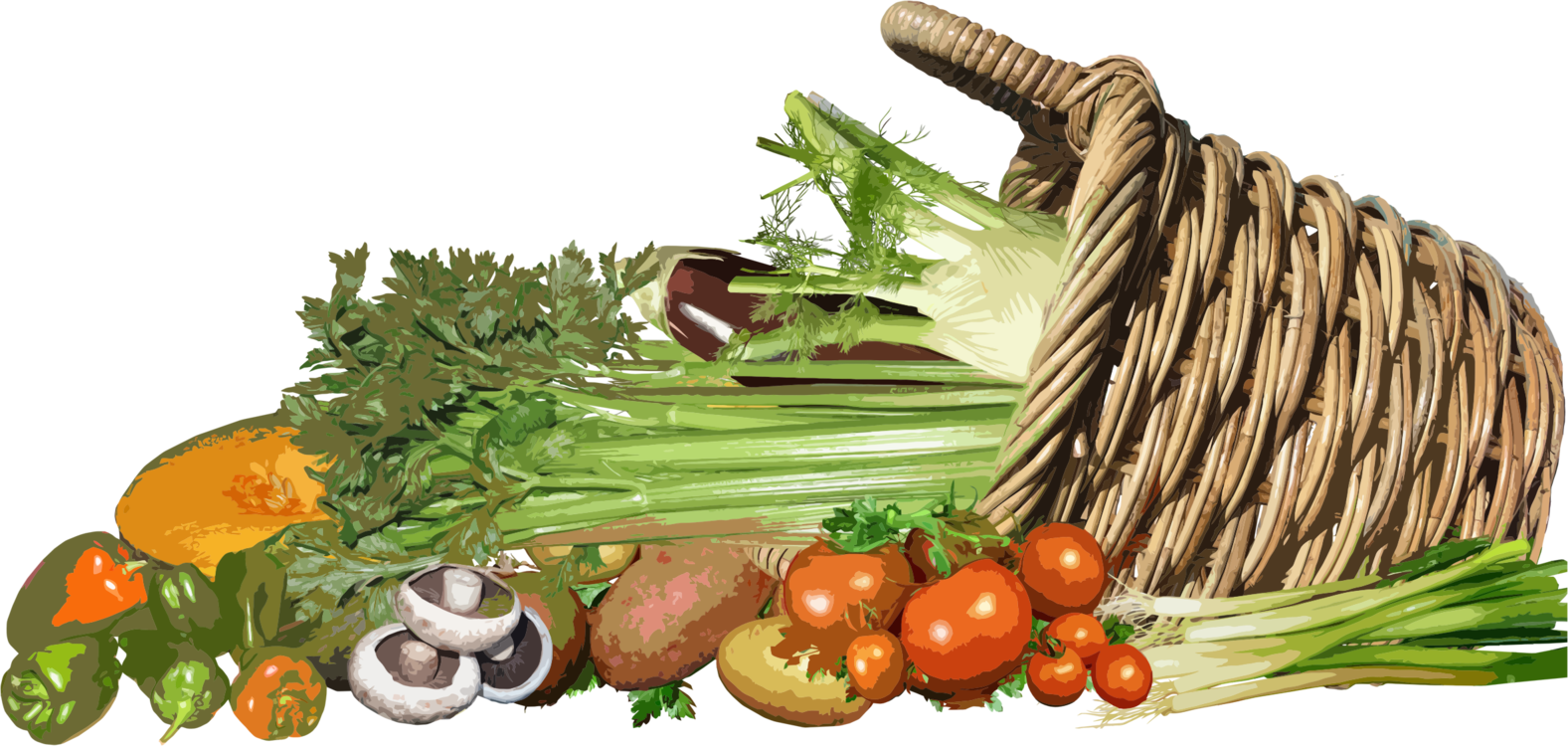 Plant,Vegetarian Food,Vegan Nutrition