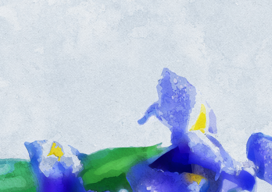 Blue,Iris,Watercolor Paint