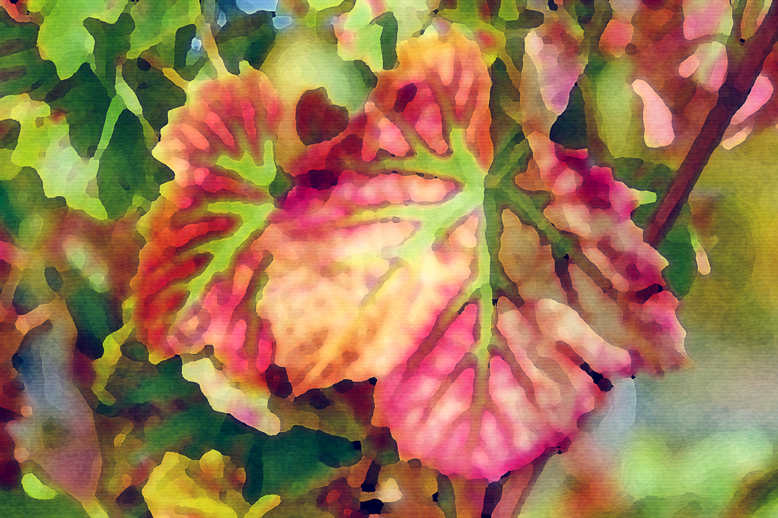 Watercolor Paint,Flower,Leaf