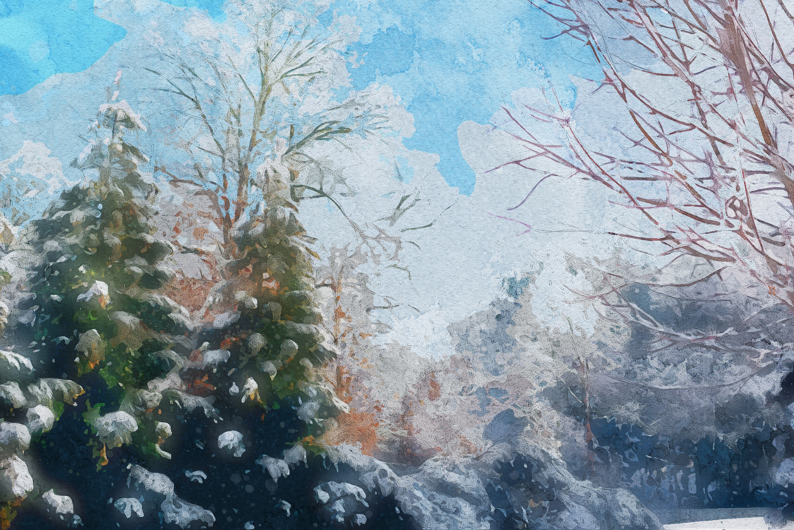 Pine Family,Watercolor Paint,Freezing