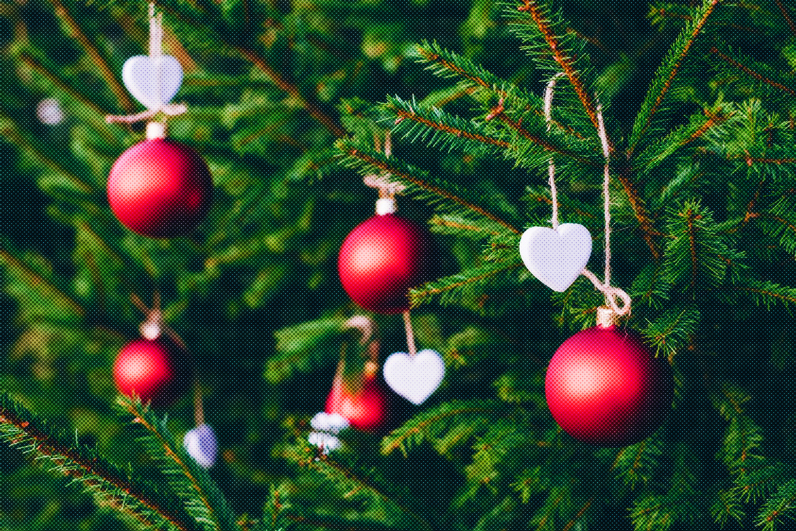 Fir,Pine Family,Christmas Ornament
