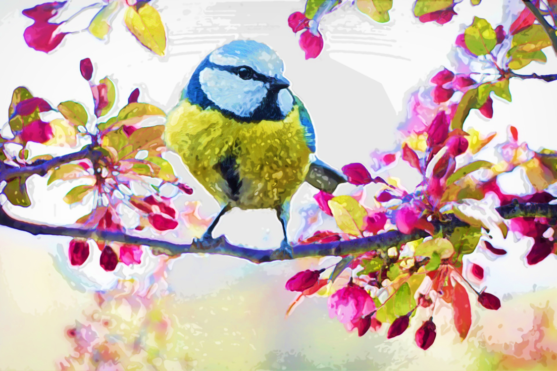 Perching Bird,Watercolor Paint,Flower