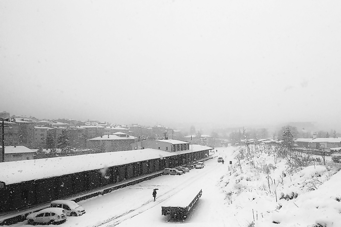 Snow,White,Transport