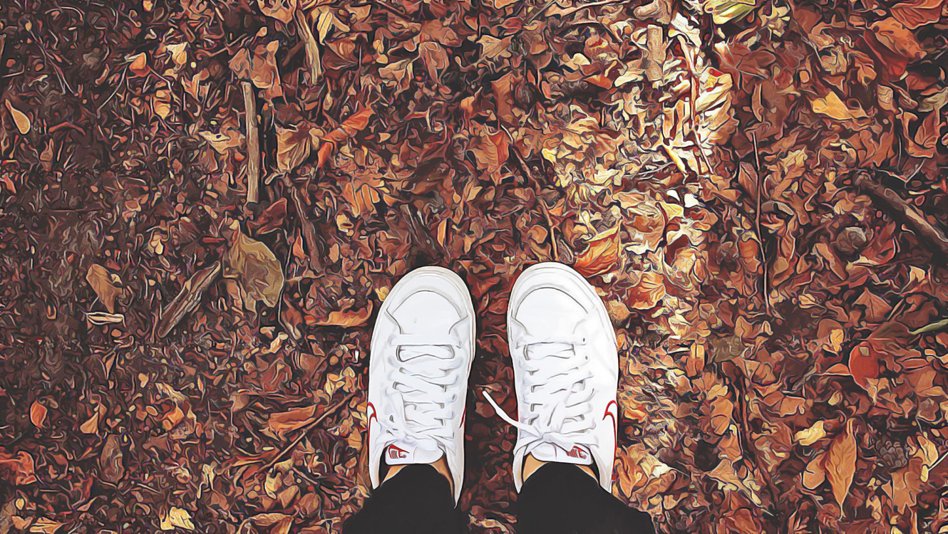 Leaf,Footwear,Brown