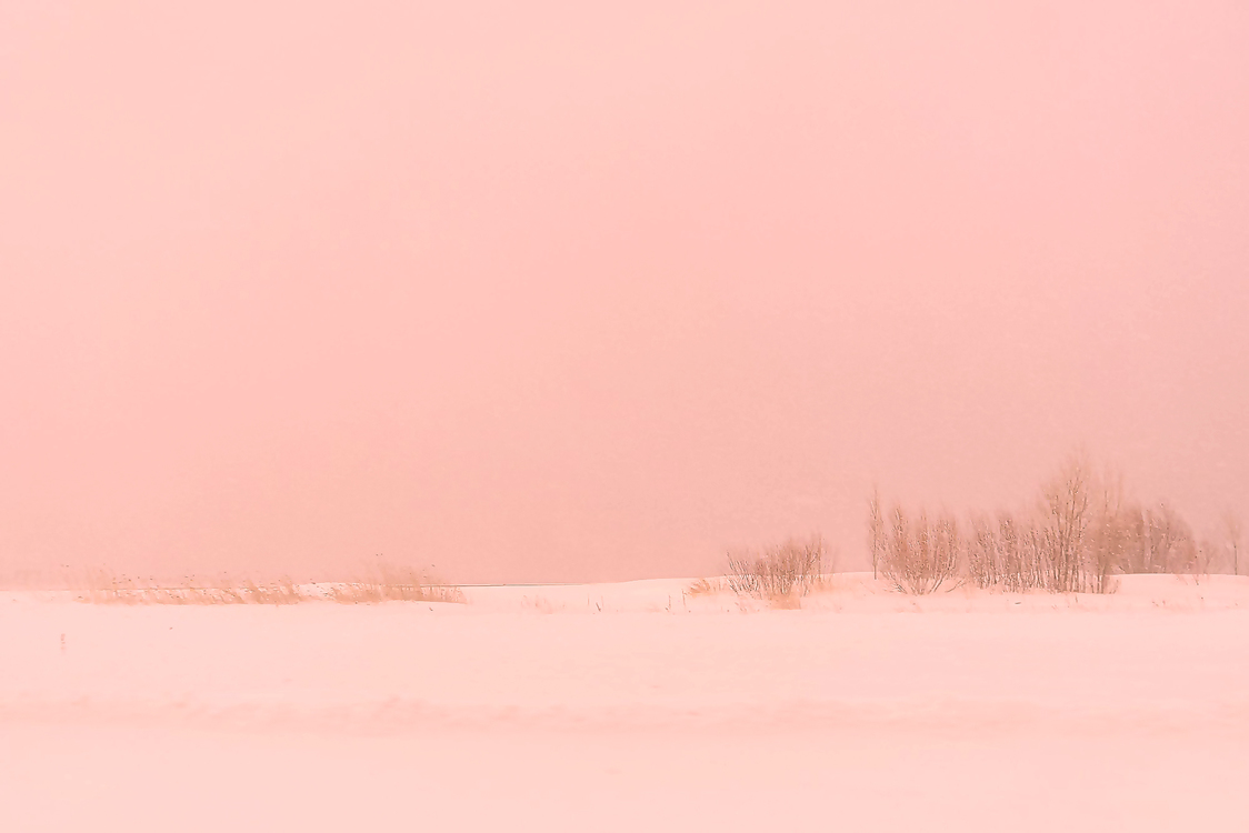 Pink,Sky,Atmospheric Phenomenon