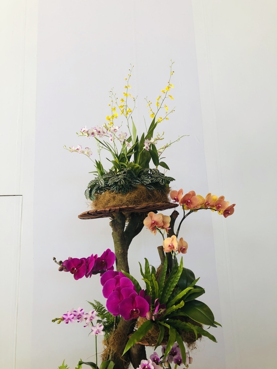 Flower,Floristry,Plant