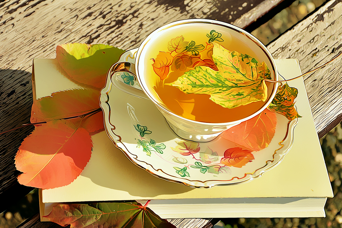 Cup,Teacup,Leaf