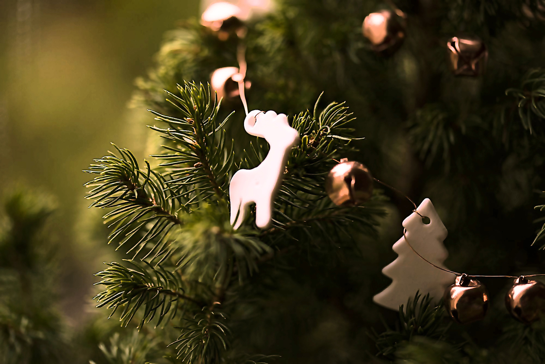 Tree,Christmas Ornament,Christmas