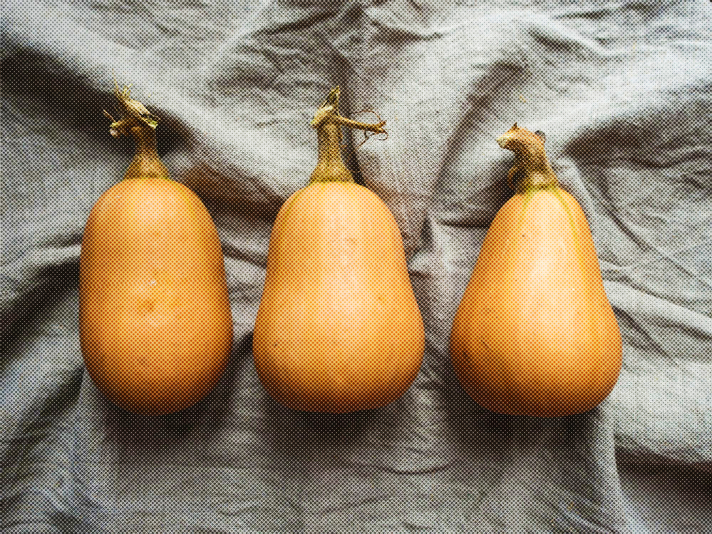 Calabash,Pear,Vegetable