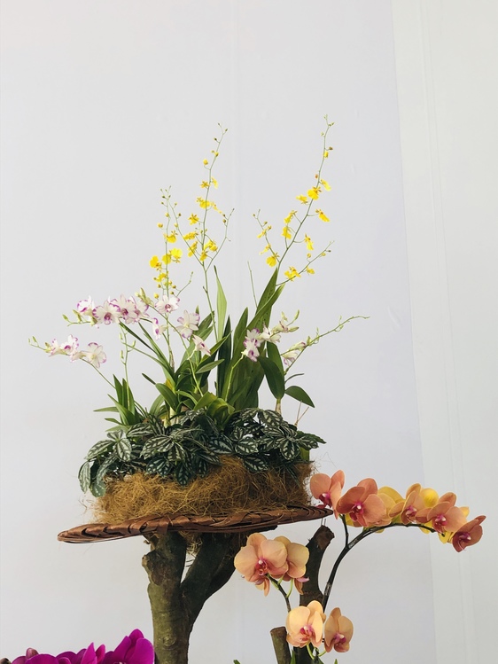 Flower,Flowerpot,Ikebana