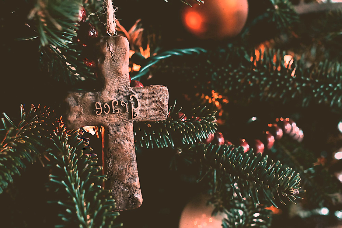 Tree,Christmas Ornament,Branch