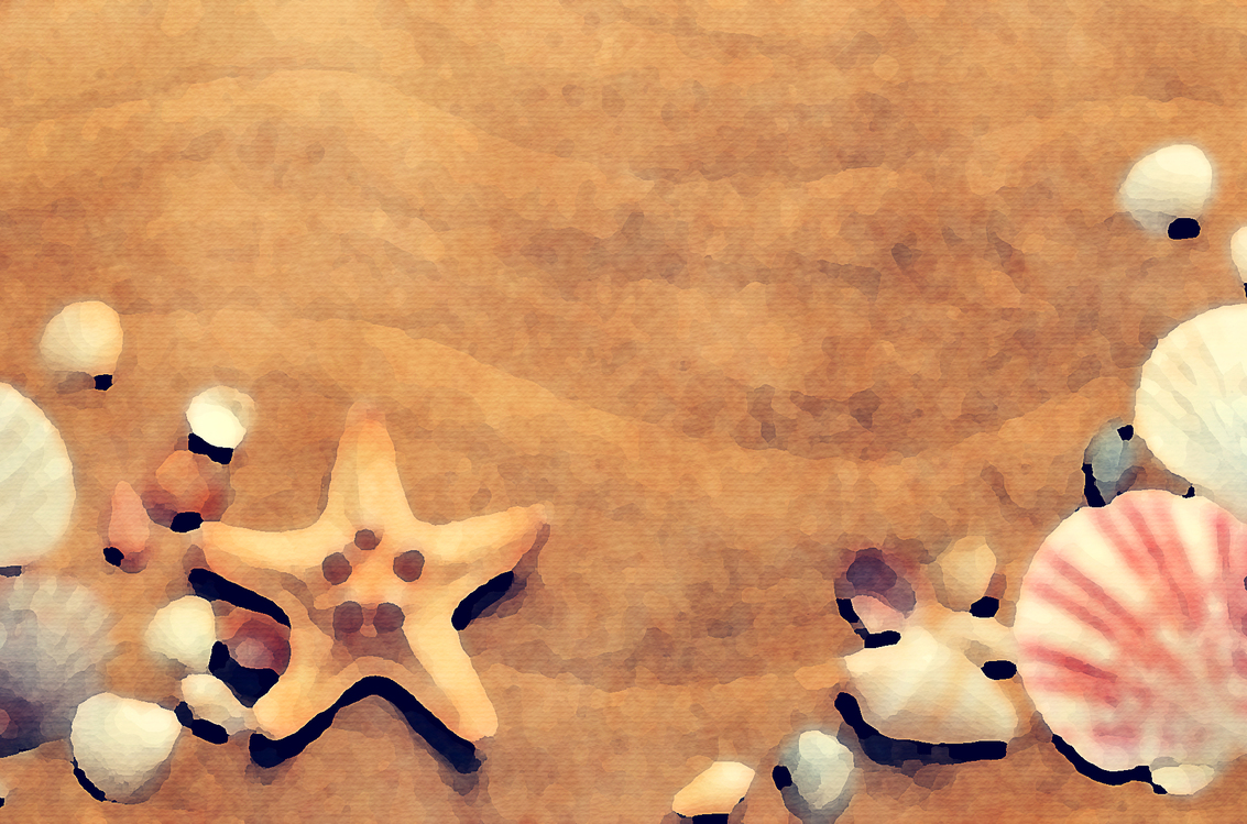 Starfish,Animation,Shell