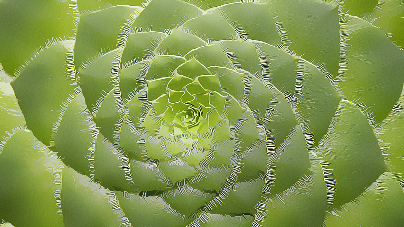 Green,Plant,Closeup