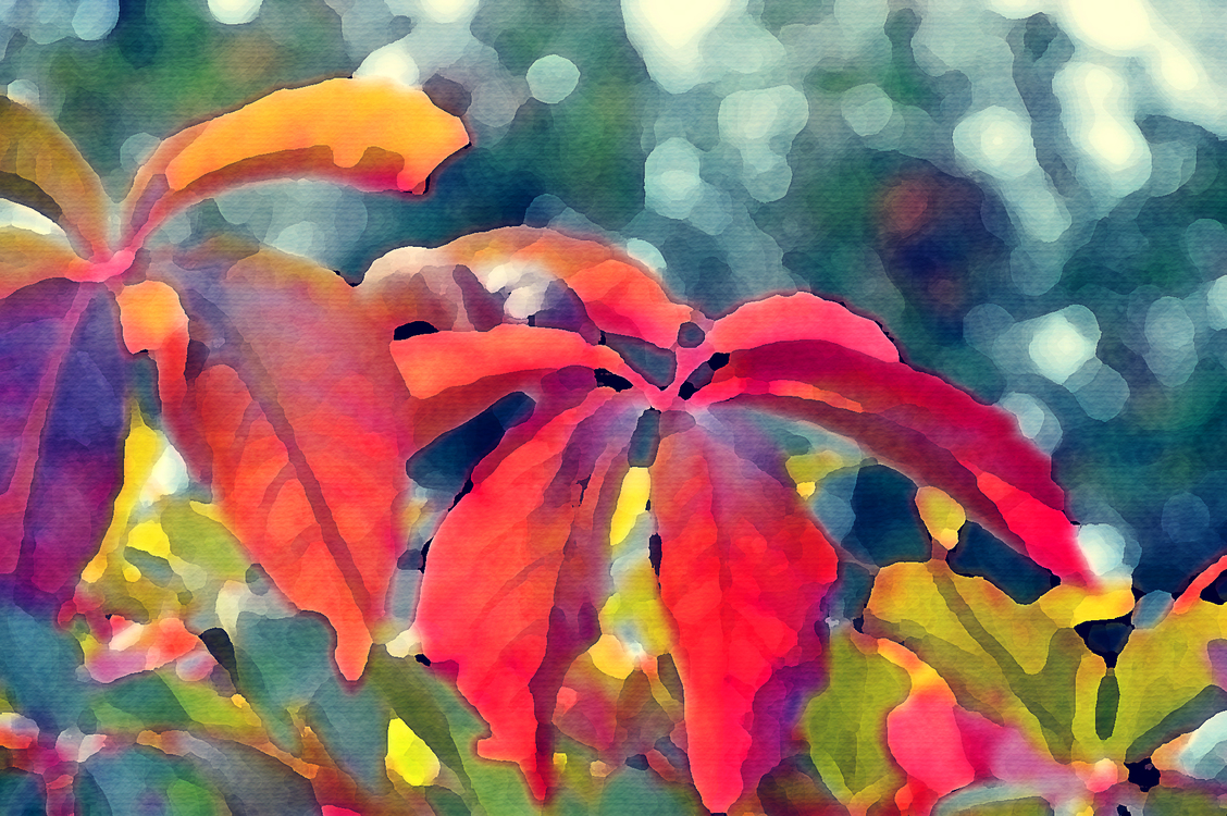 Leaf,Watercolor Paint,Flower
