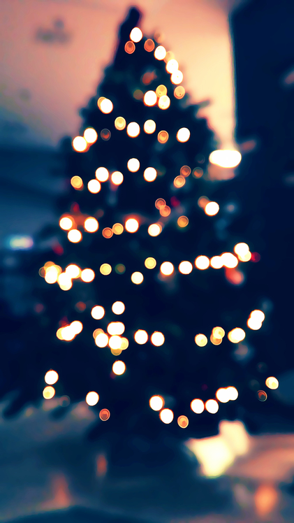 Christmas Tree,Tree,Blue