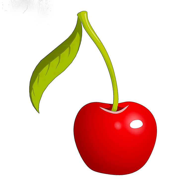 Cherry,Plant,Fruit