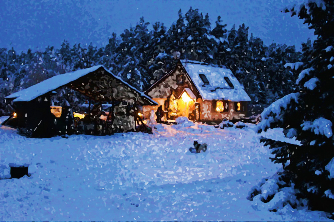 Snow,Winter,Home