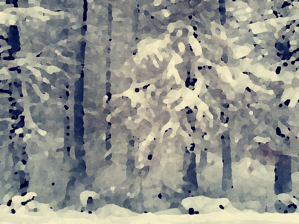 Tree,Blue,Snow