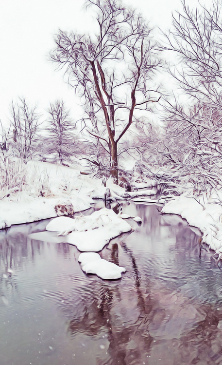 Nature,Water,Winter