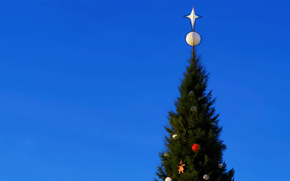 Blue,Sky,Christmas Tree