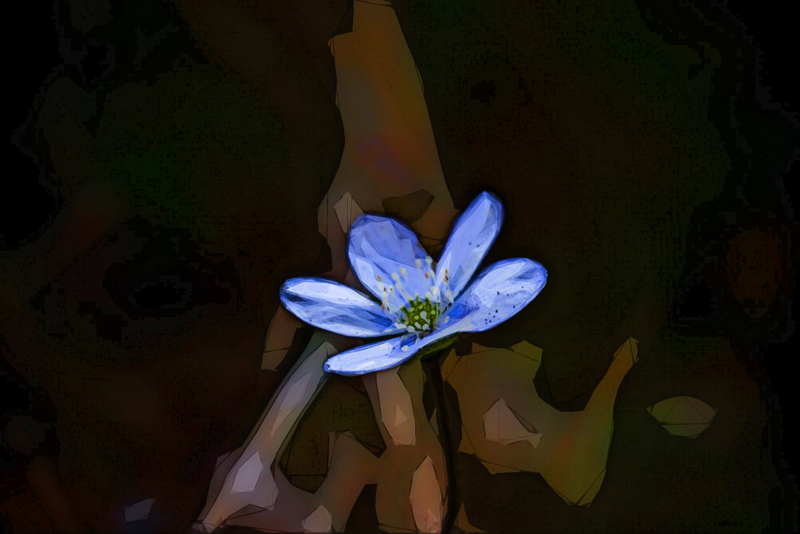 Blue,Flower,Petal