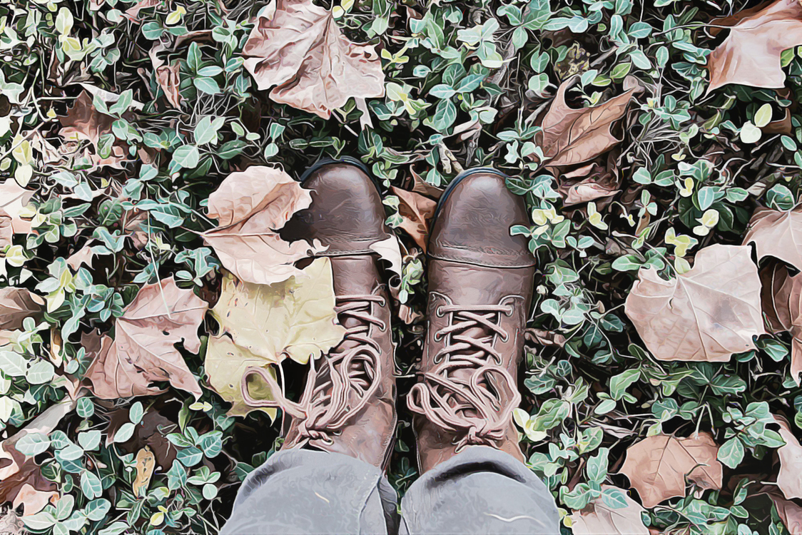 Footwear,Leaf,Shoe