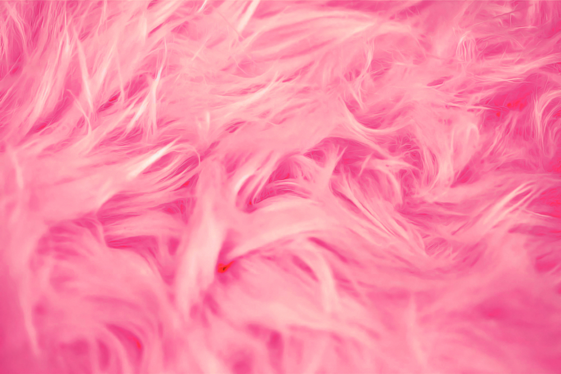 Pink,Fur,Magenta