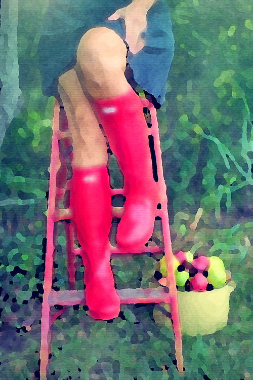Plant,Watercolor,Red Boots