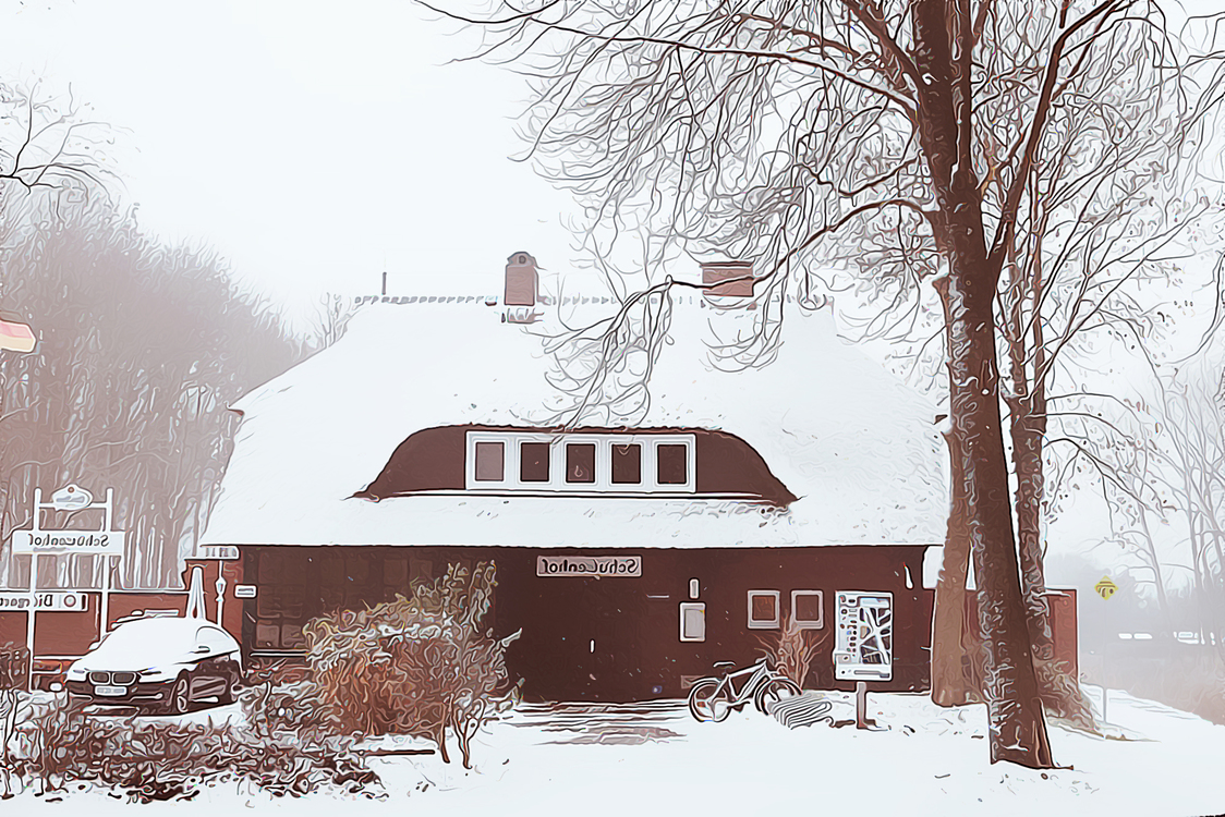 Winter,Snow,House