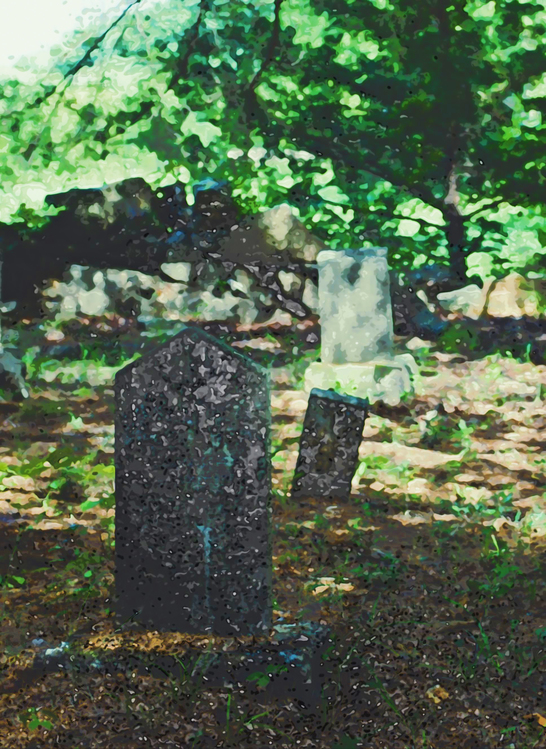 Tree,Grave,Cemetery