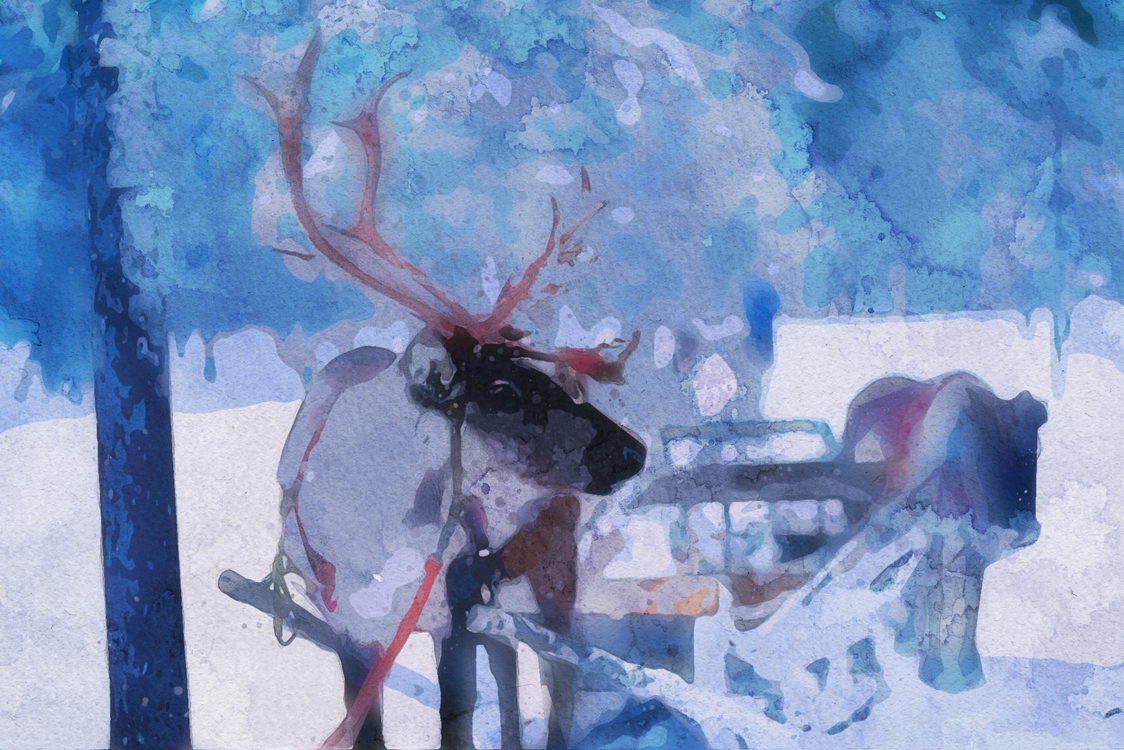 Watercolor Paint,Painting,Deer