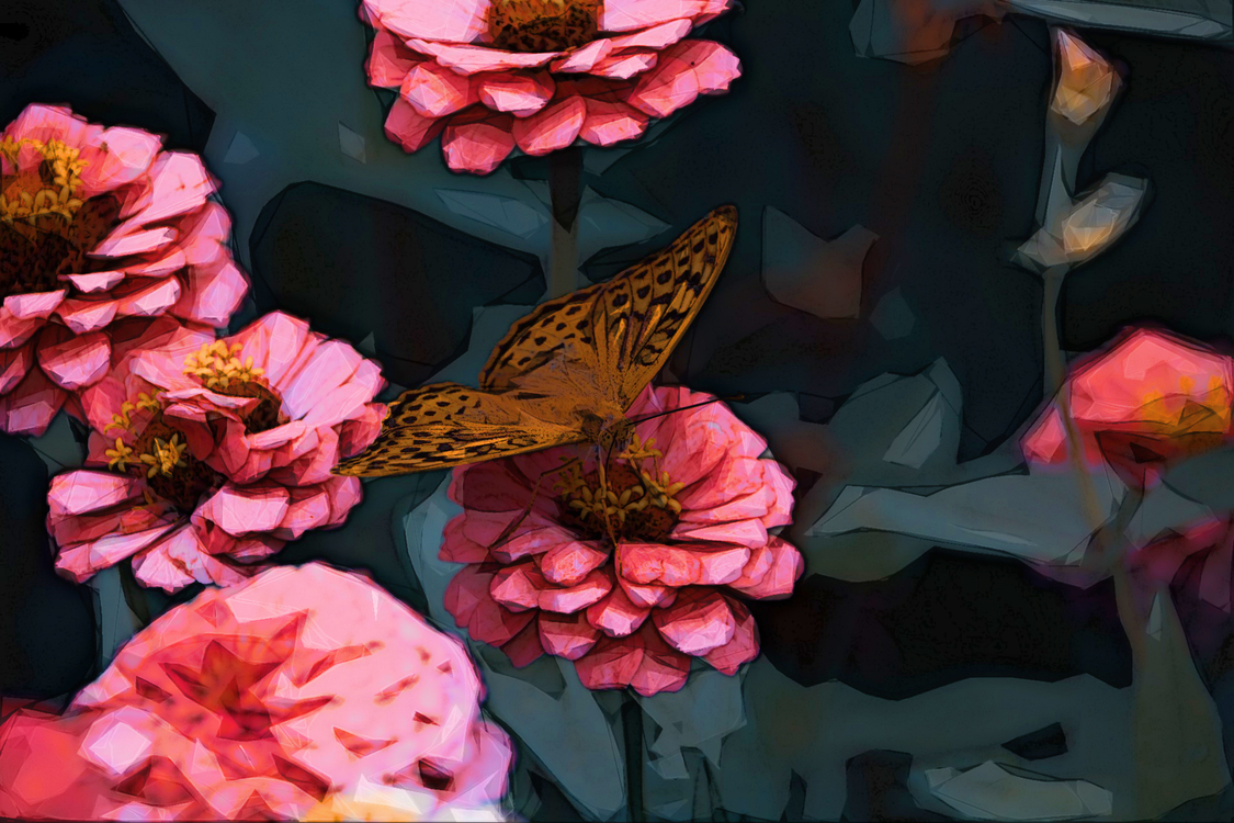 Butterfly,Pink,Flower