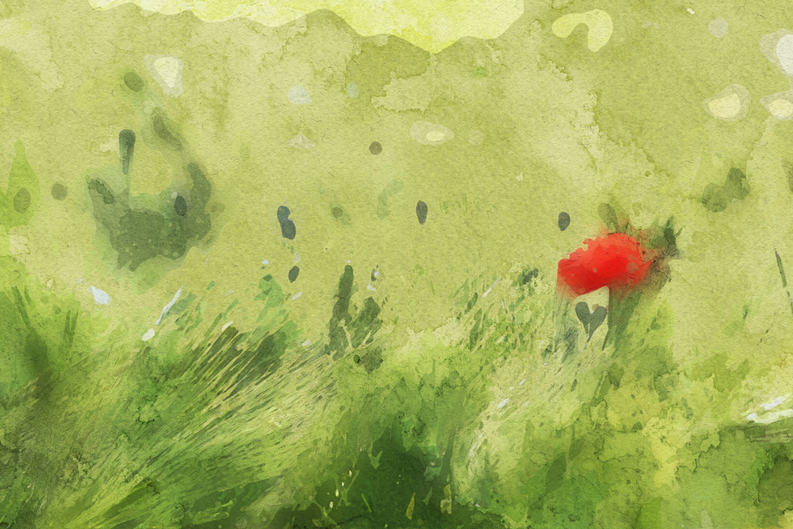 Green,Watercolor Paint,Coquelicot