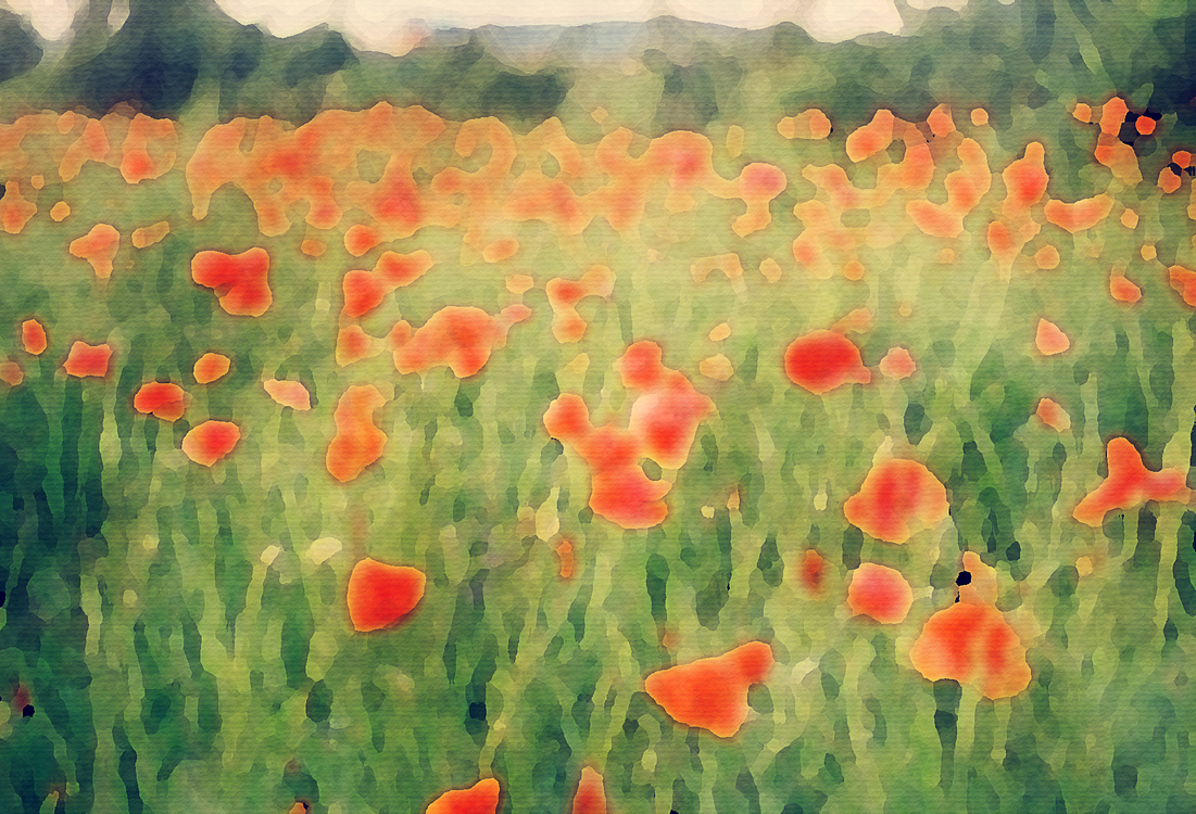 Meadow,Coquelicot,Watercolor Paint