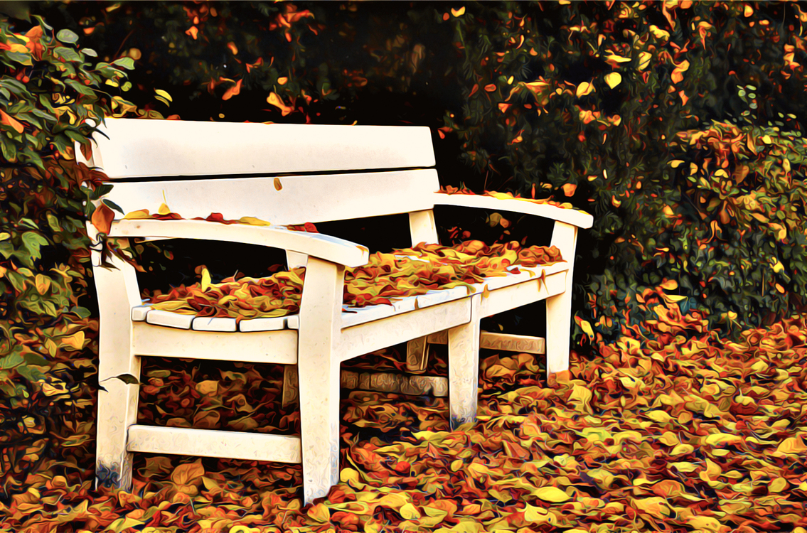 Furniture,Autumn,Bench