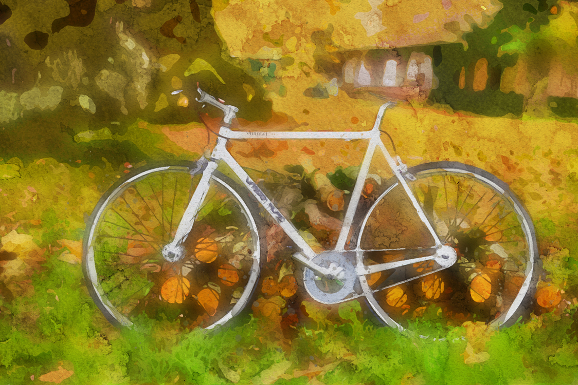 Bicycle Wheel,Bicycle,Bicycle Part