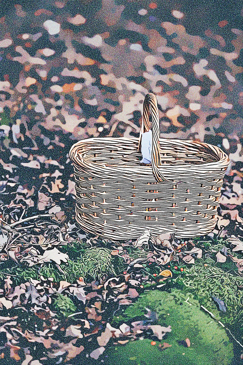 Basket,Picnic Basket,Leaf