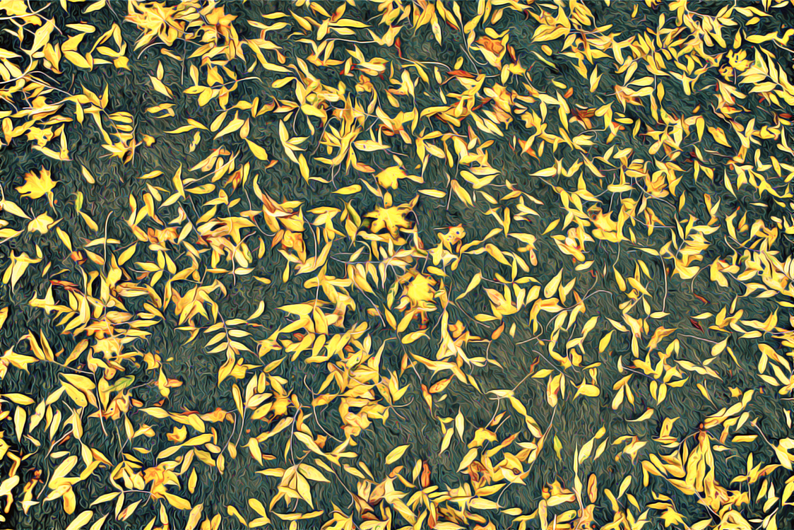 Yellow,Leaf,Textile