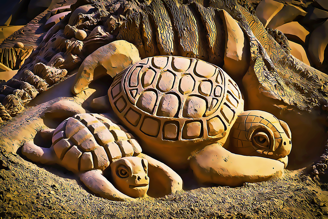 Tortoise,Turtle,Reptile
