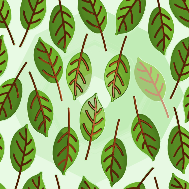 Leaf,Green,Plant