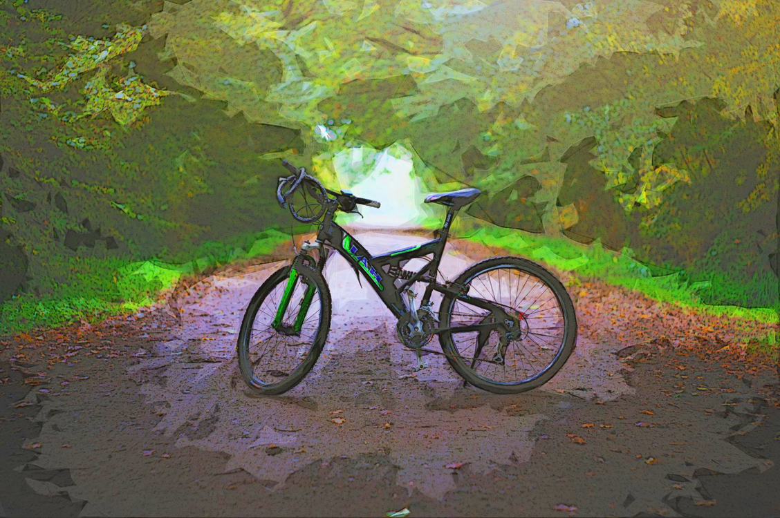 Bicycle,Nature,Cycling