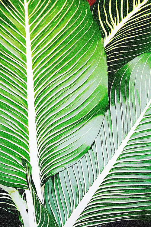 Leaf,Banana Leaf,Green