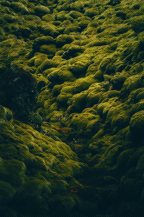 Green,Nature,Water